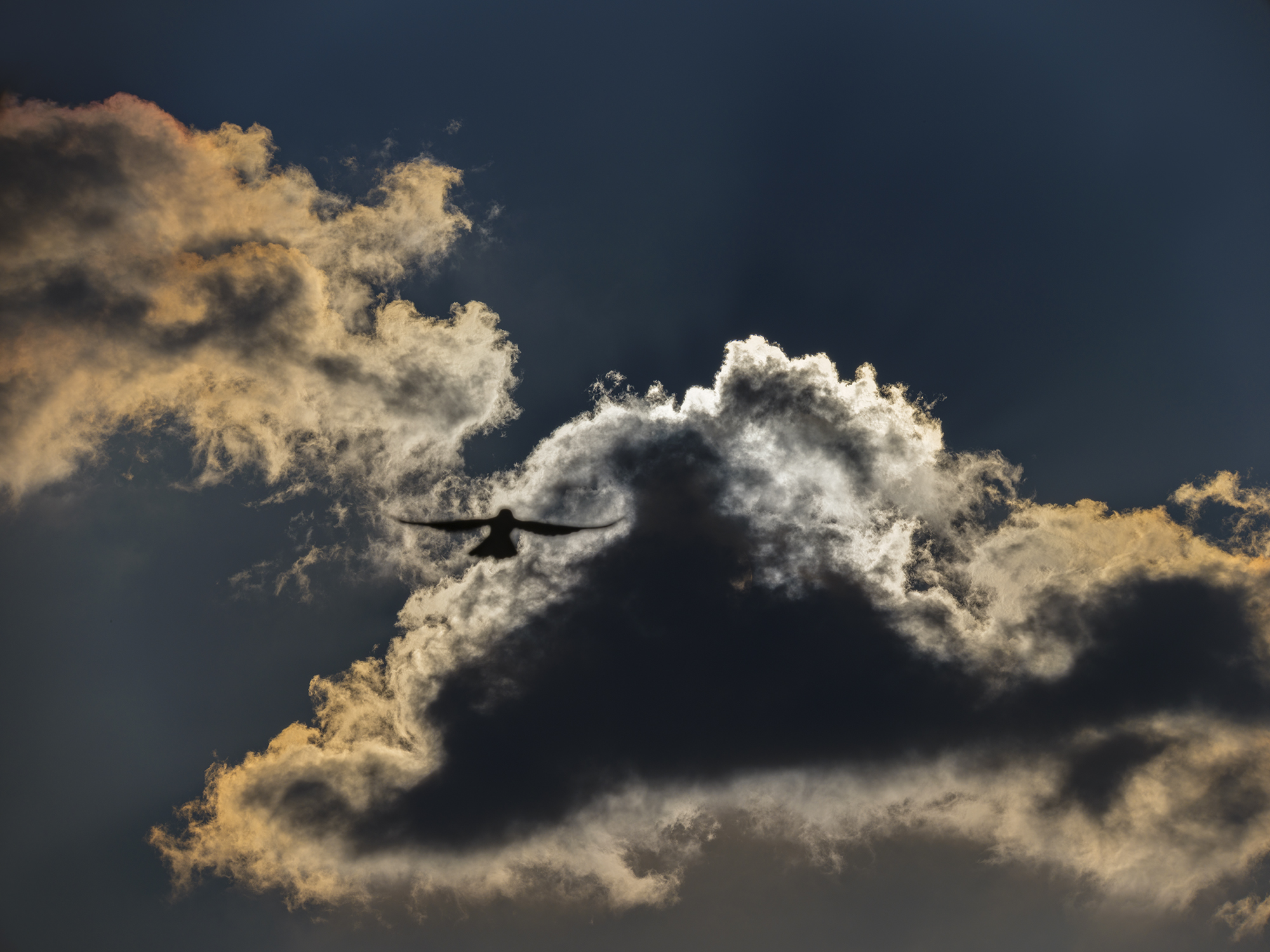 Zu den Wolken